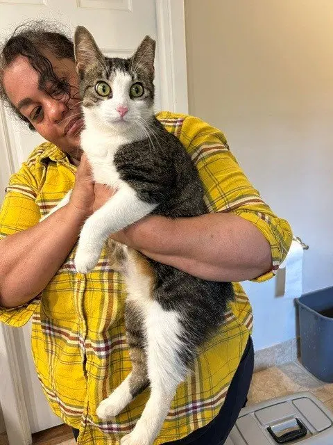 Betty Bobtail, photo 2