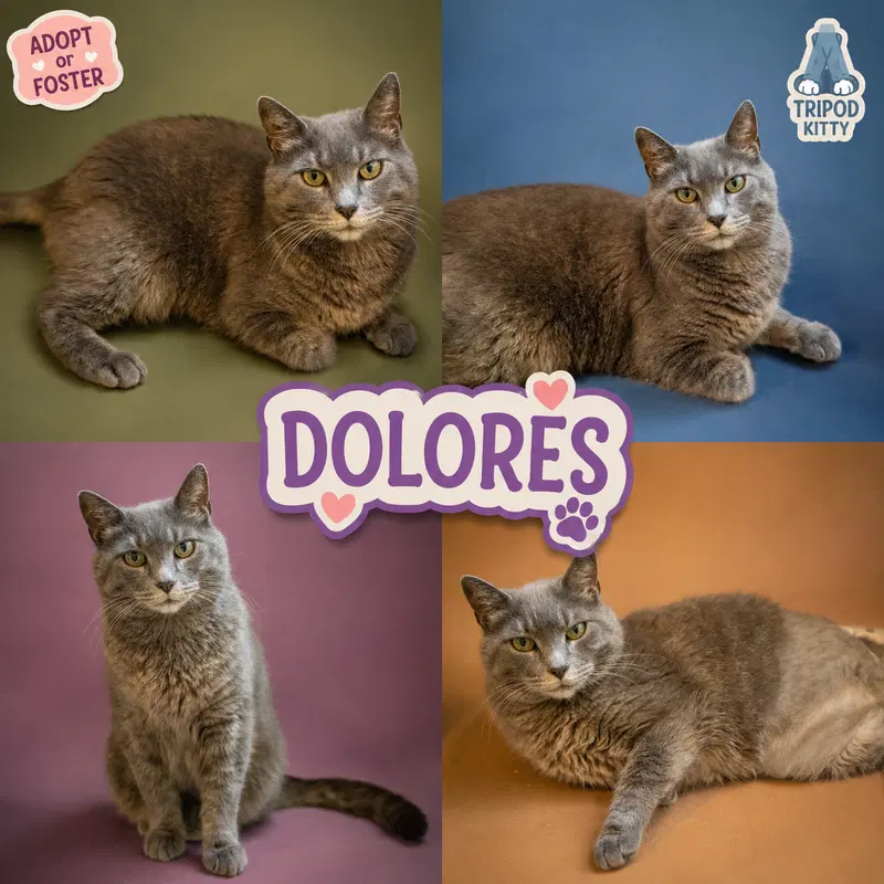 Dolores, photo 5