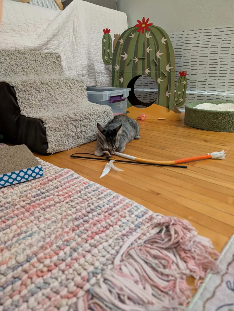 Pixel, photo 3