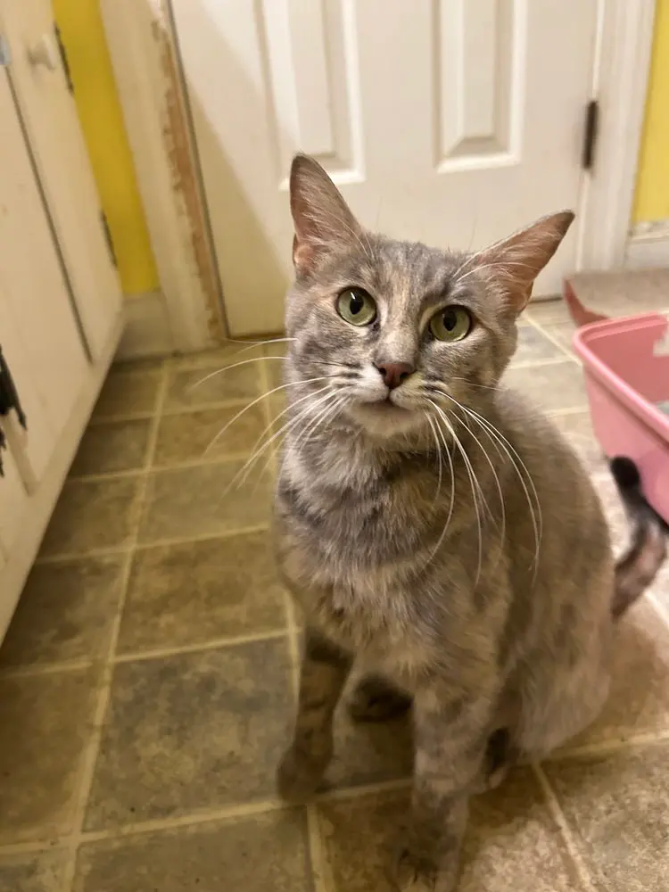 Fiona, photo 2