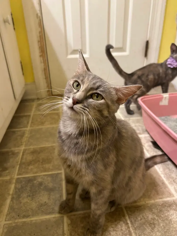 Fiona, photo 3