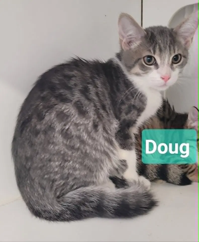 Doug, photo 2