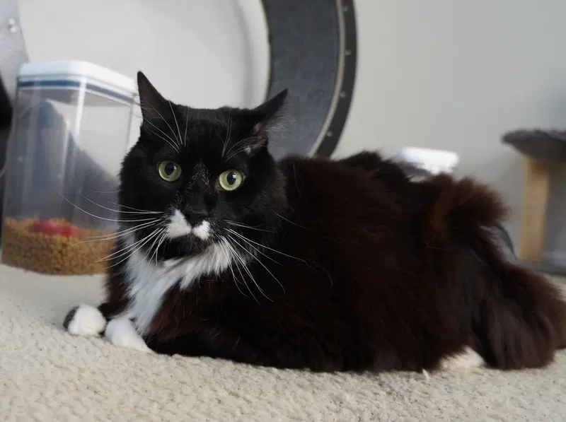Edgar, photo 6