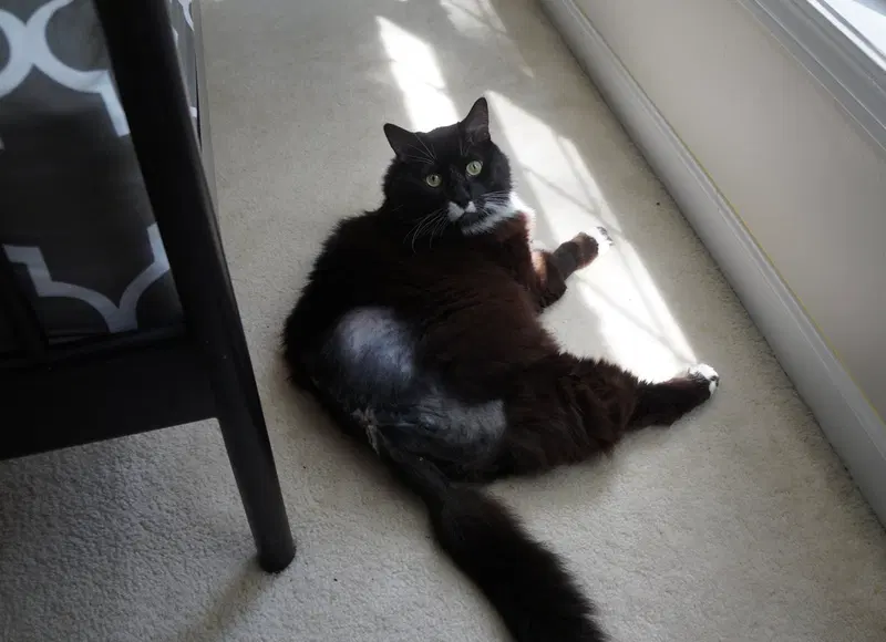Edgar, photo 8