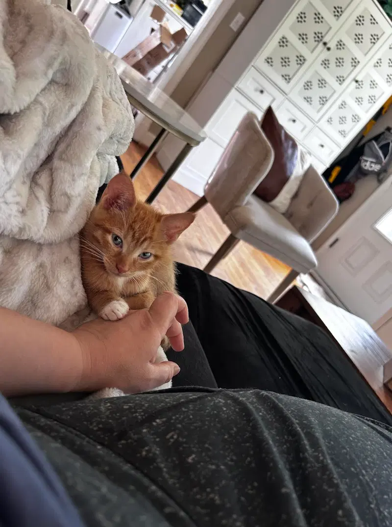 Sebastian, photo 3