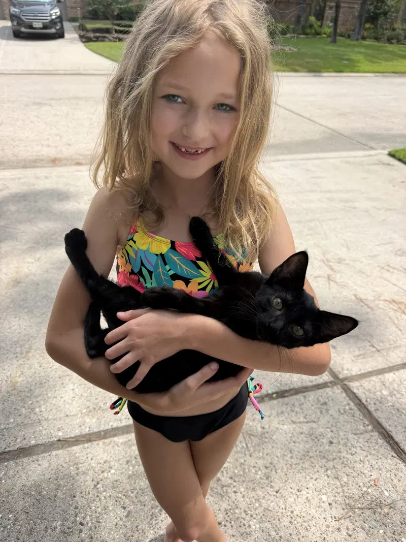 Olivia, photo 8