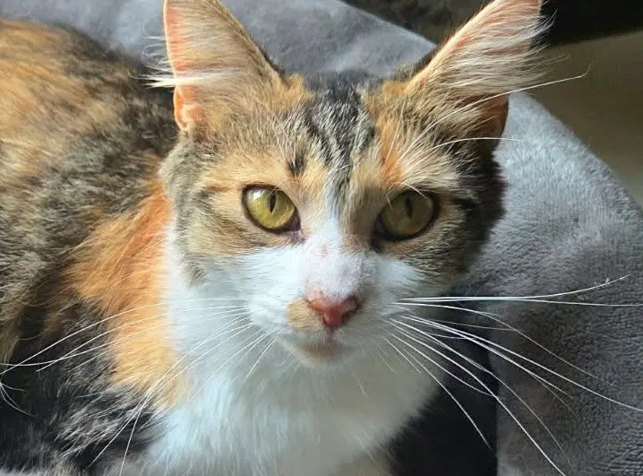 Winnie, photo 6
