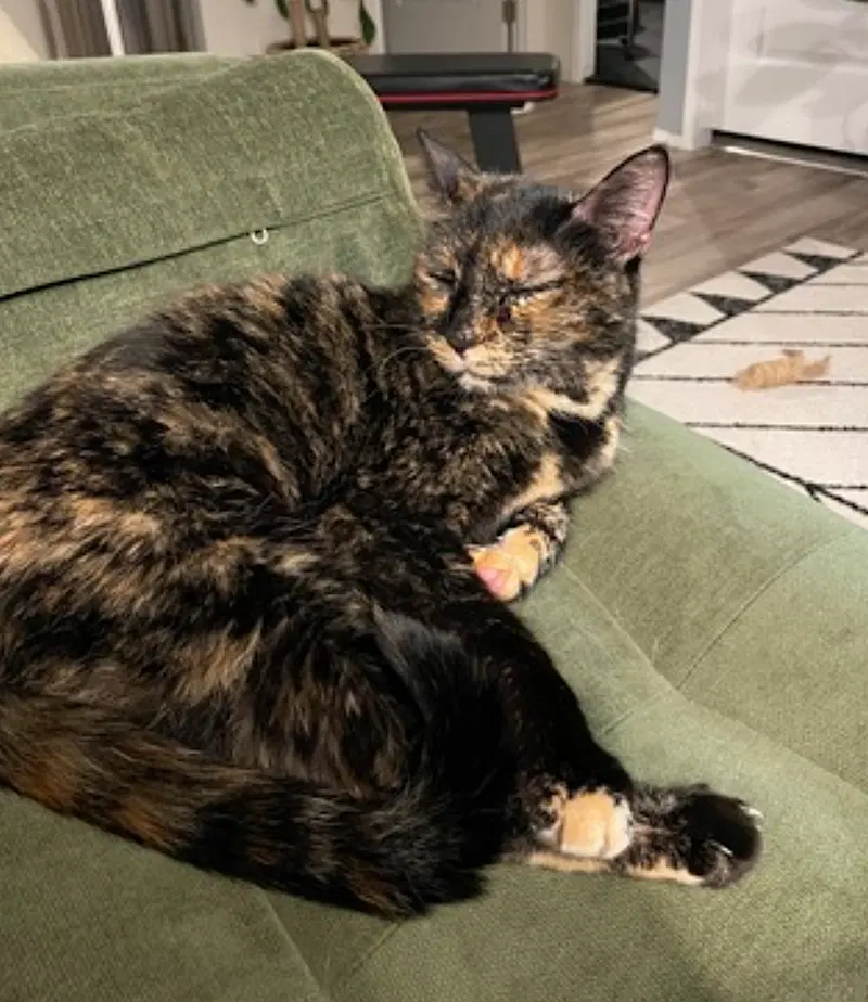 Adeline, photo 5