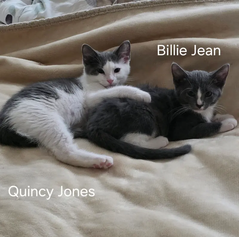 Quincy Jones, photo 5