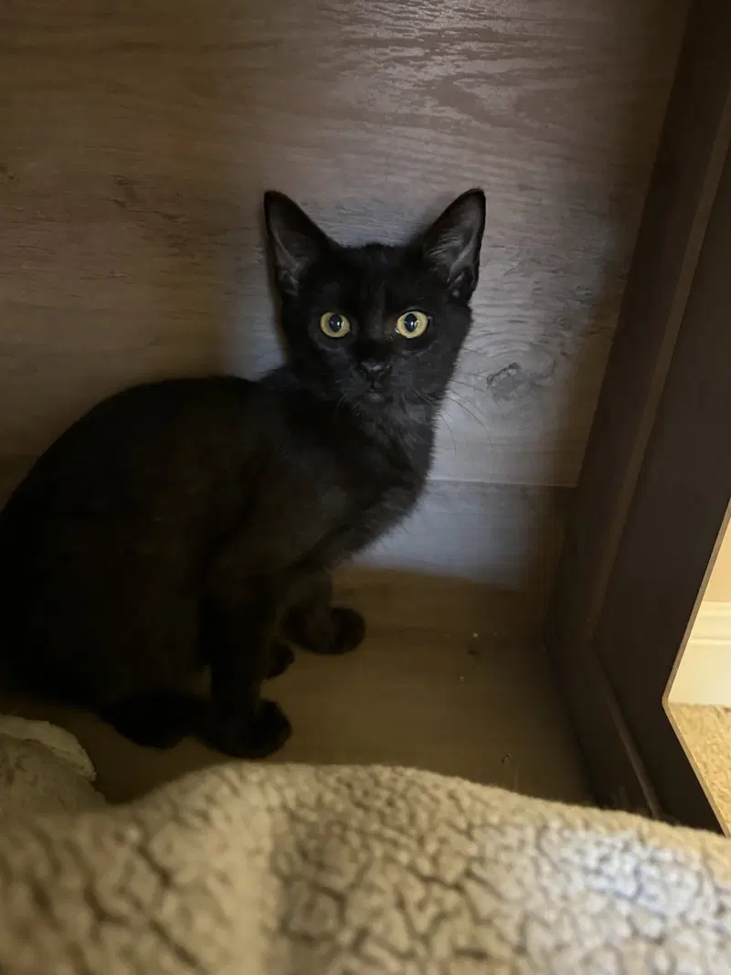 Penelope, photo 2