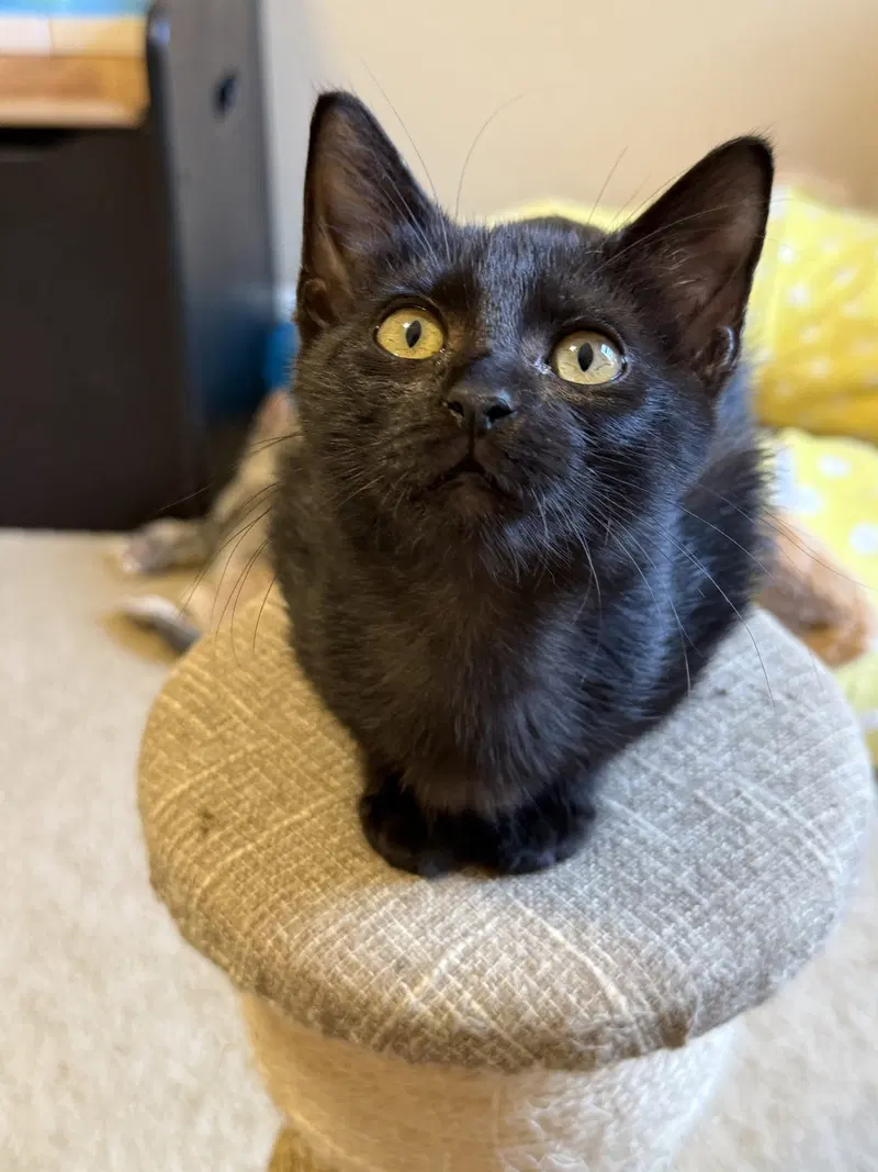 Penelope, photo 4