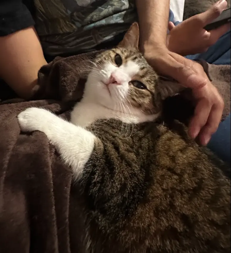 Tabitha, photo 2