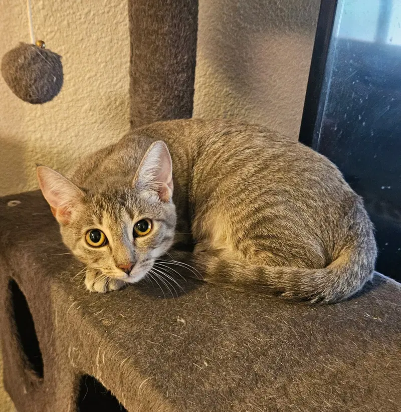 Ella, photo 2