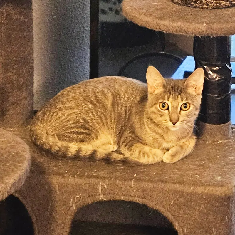 Ella, photo 3