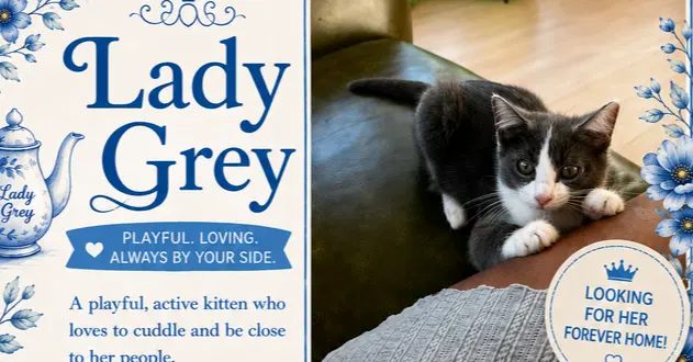 Our Lady Gray, photo 2