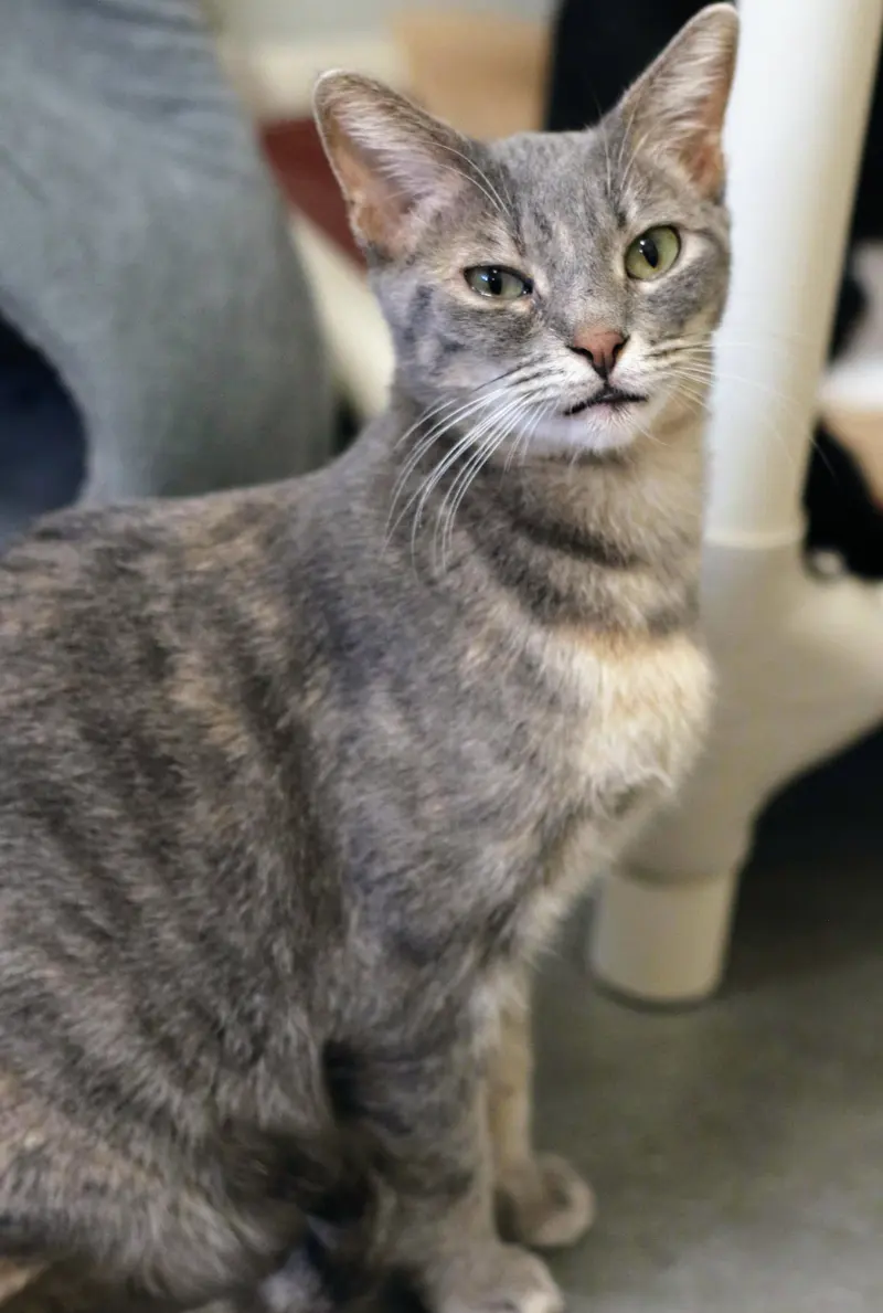 Gretchen, photo 4