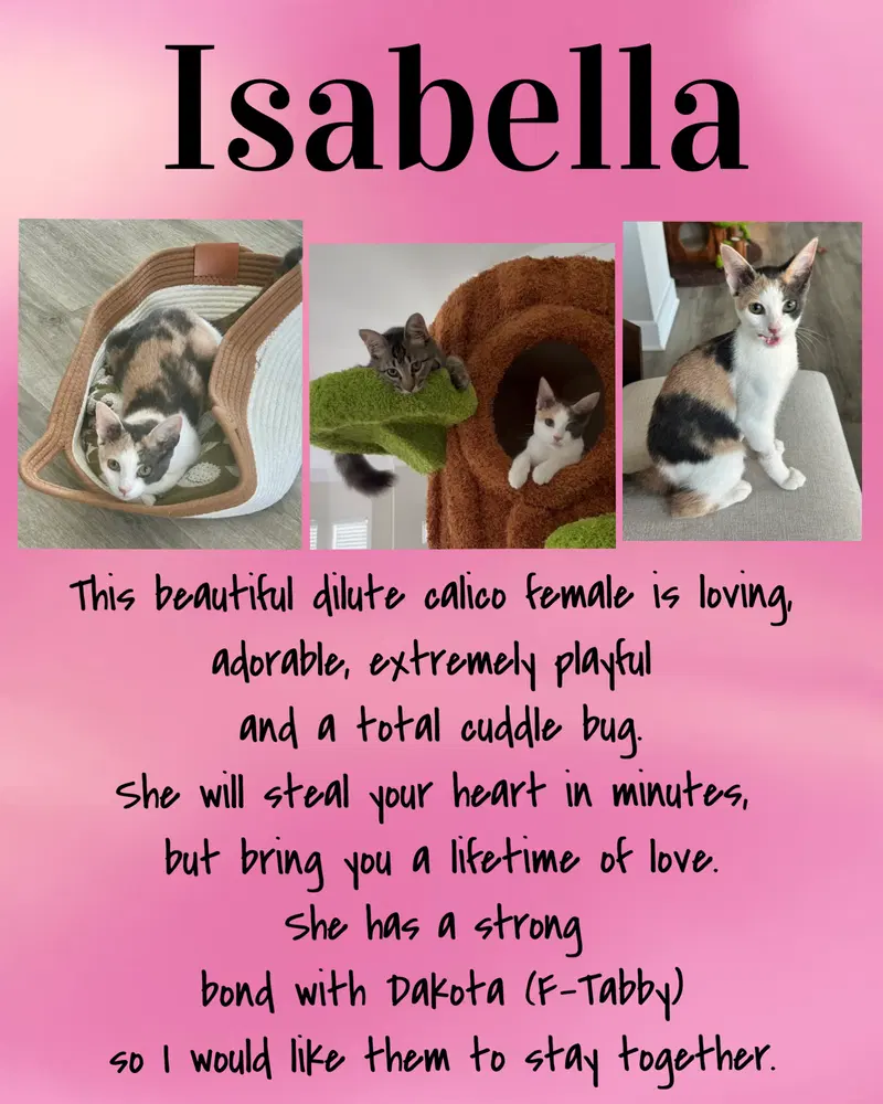 Isabella C, photo 5