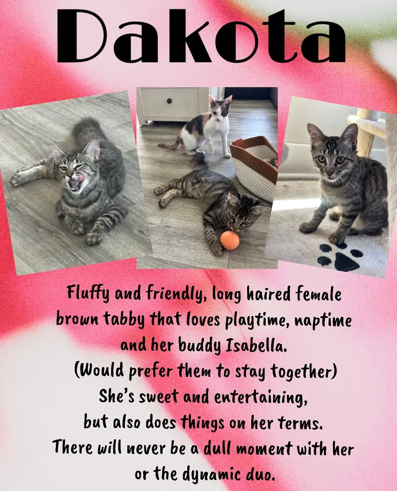 Dakota C, photo 5