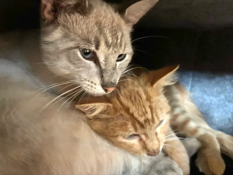 Minnie and Ghost, photo 3