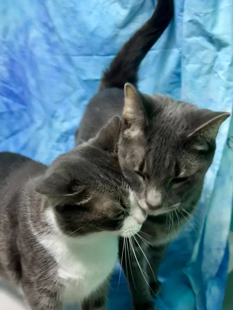 Ellie & Xeno, photo 3