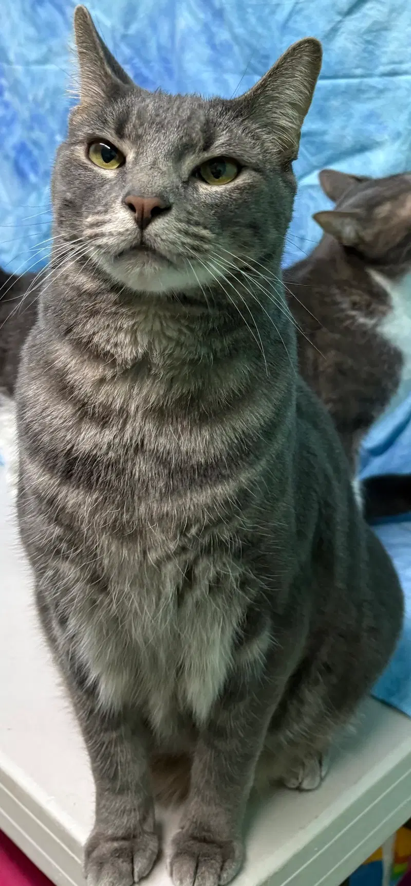 Ellie & Xeno, photo 4