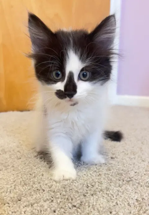Watch the video of Duffy