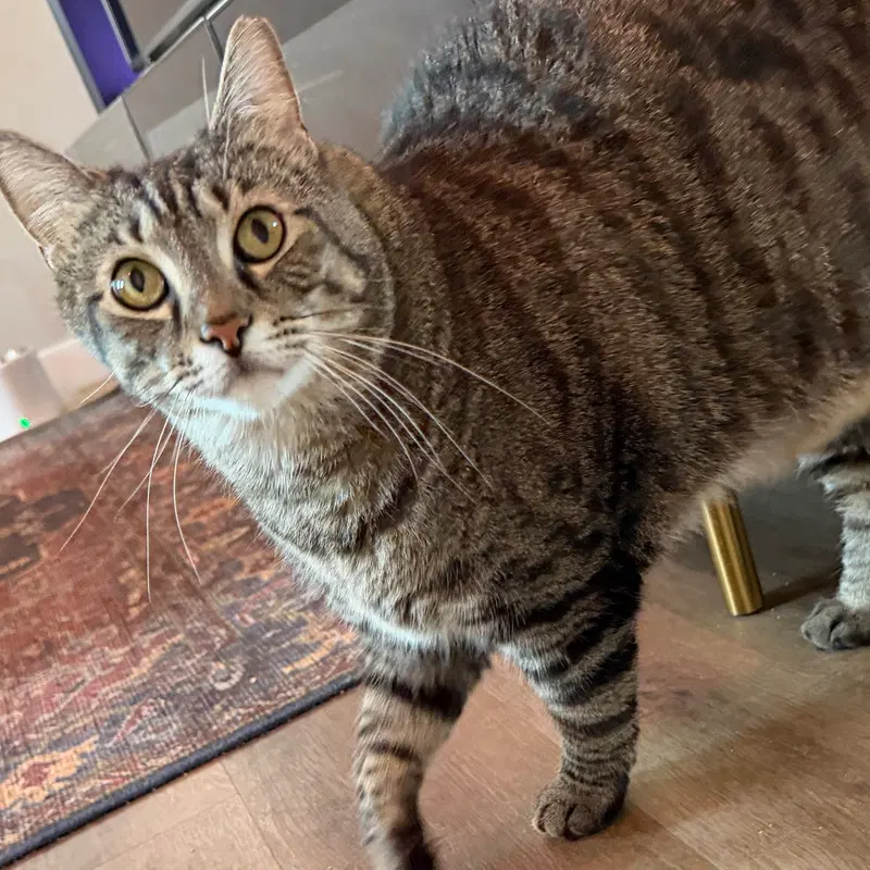 Momma, photo 6