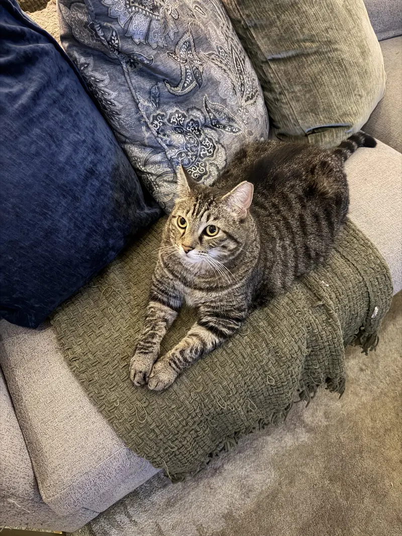 Momma, photo 4