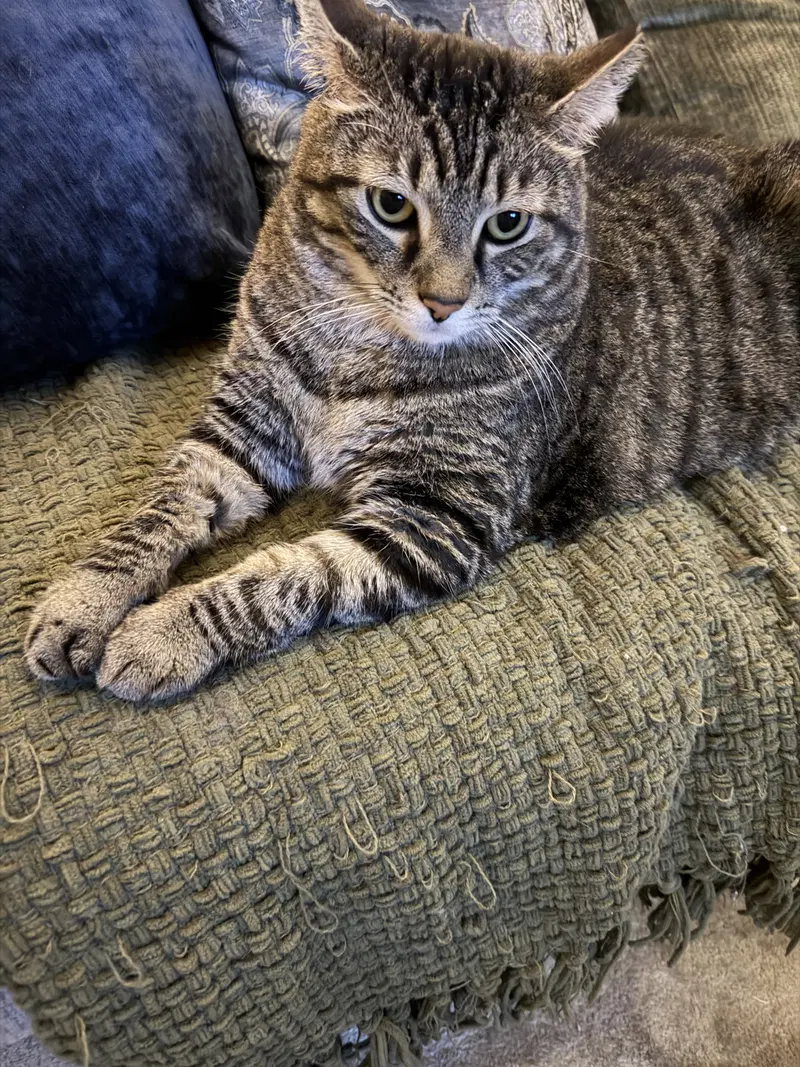 Momma, photo 9