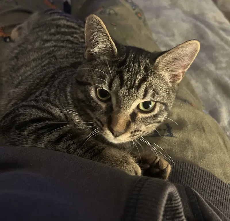 Herb, photo 9
