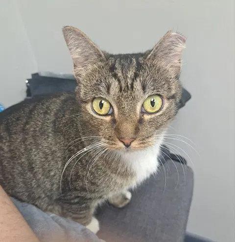 Watch the video of Bobbie