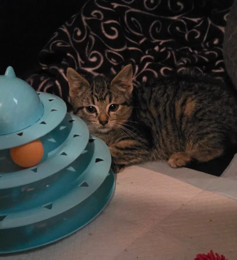 Thelma, photo 4