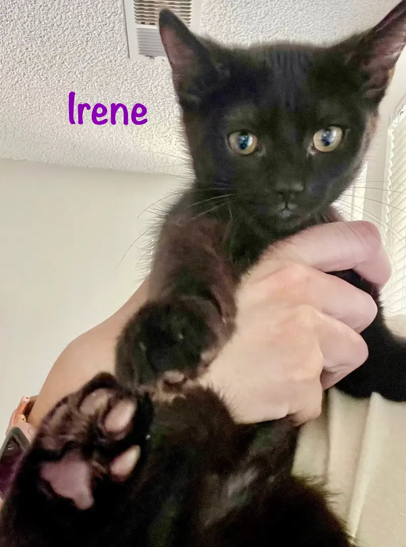 Irene, photo 7