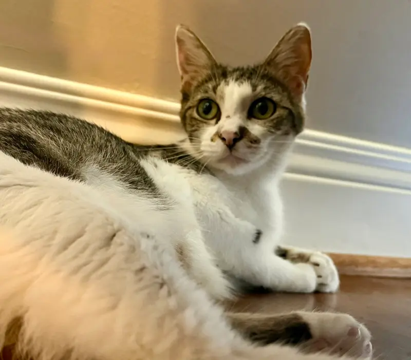 Astrid, photo 2
