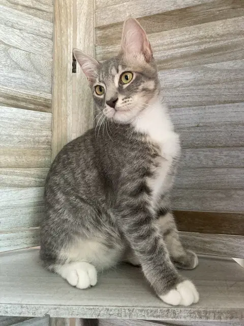 Watch the video of Max