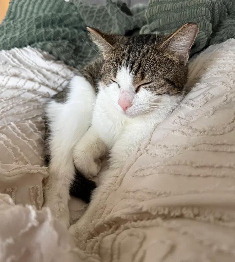 Mabel, photo 2