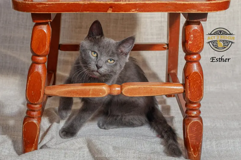 Esther, photo 2