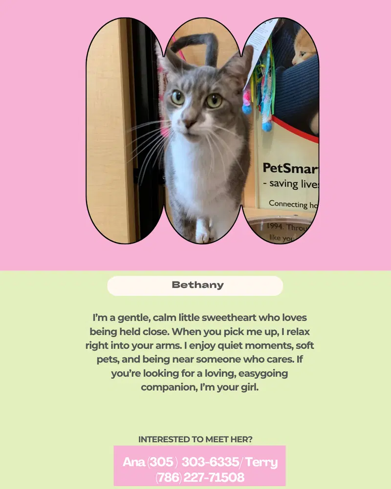 Bethany, photo 2