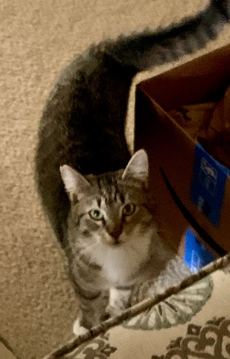 Janie, photo 5