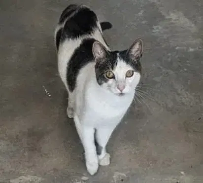 Snickers foster home, photo 3