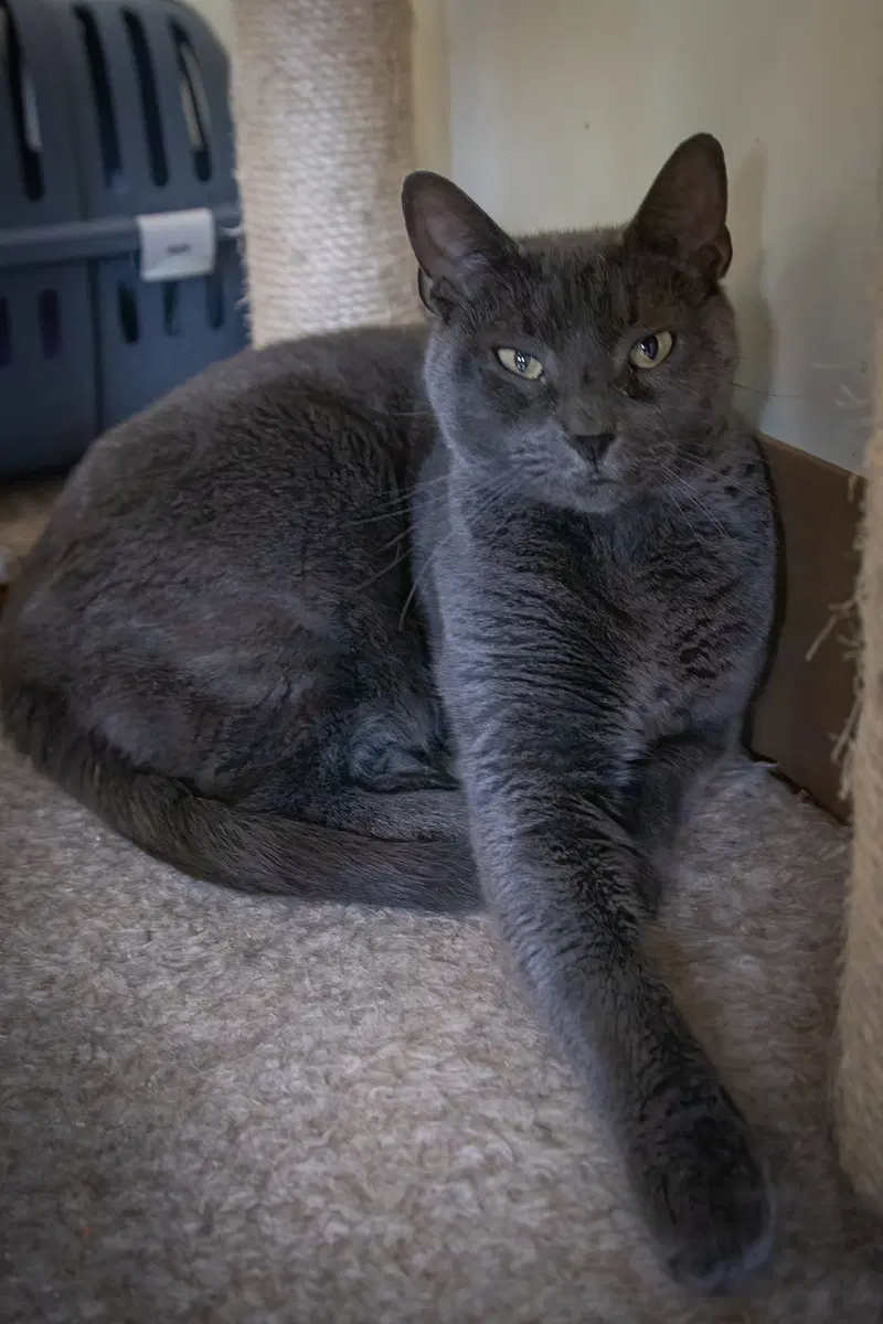 Bonnie, photo 4