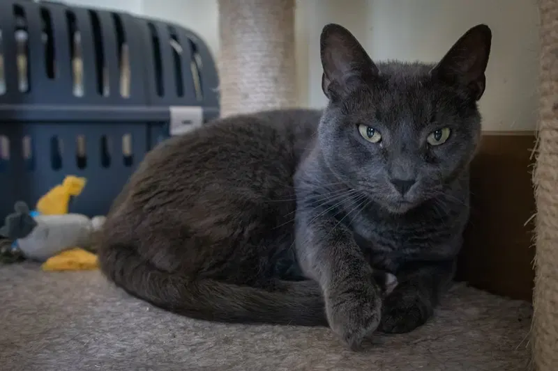 Bonnie, photo 5