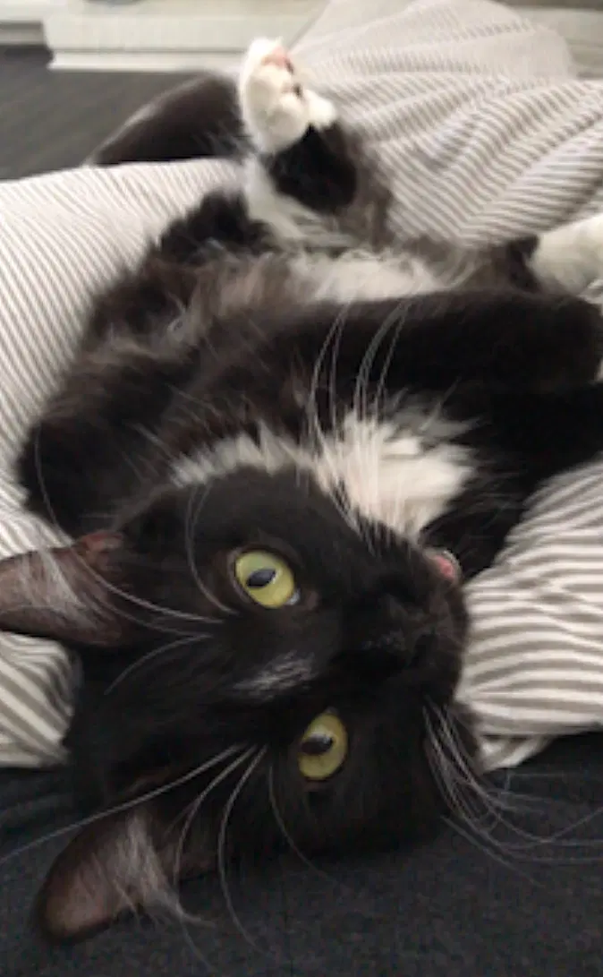 Momo, photo 3