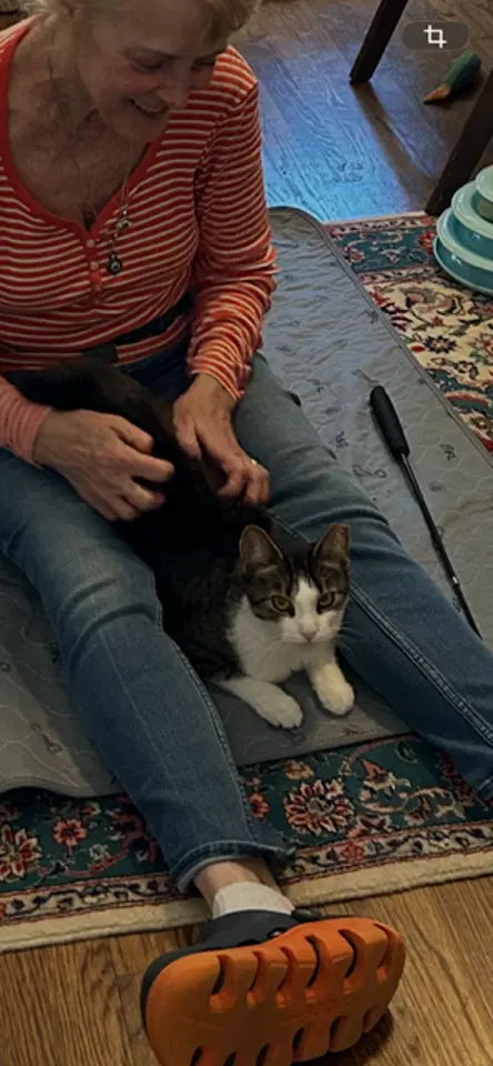 Betty Bobtail, photo 6