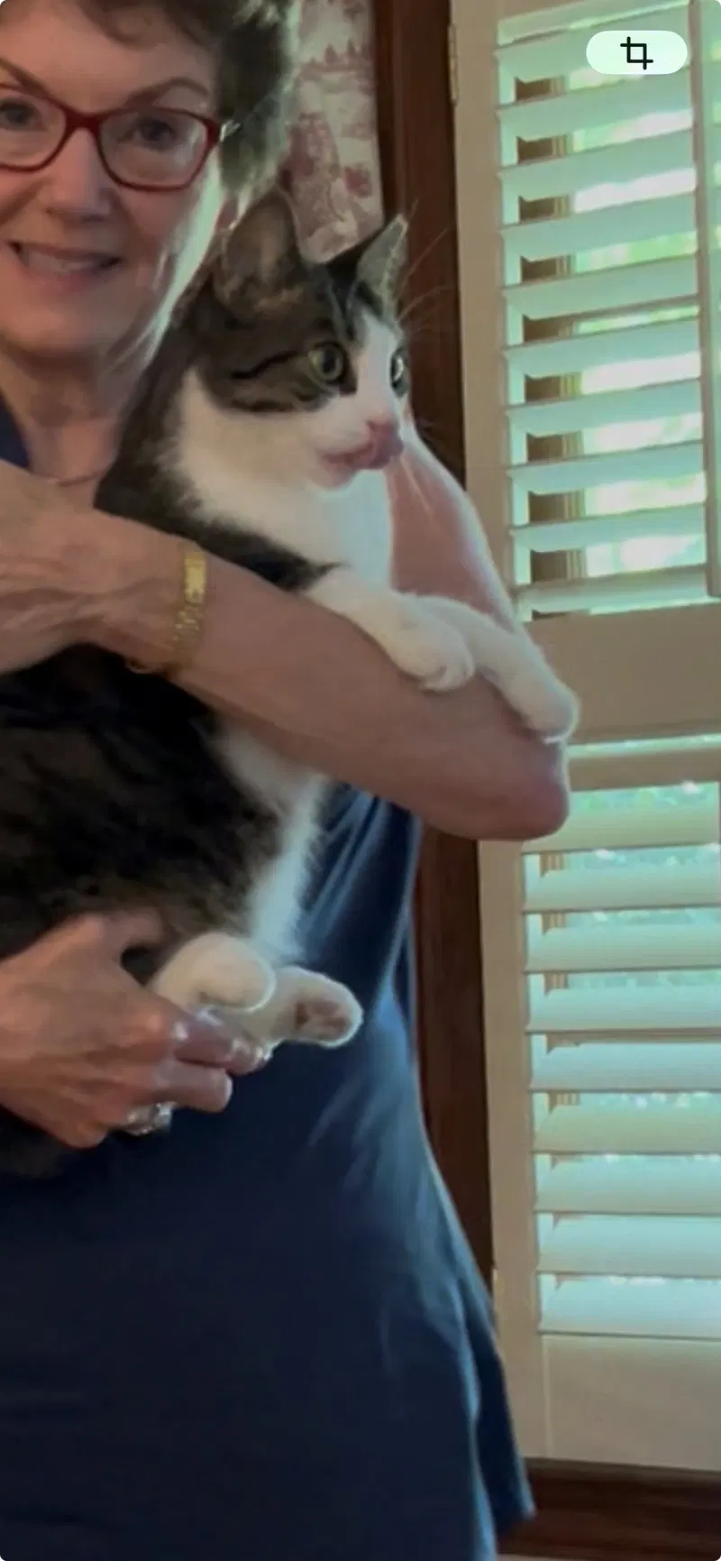 Betty Bobtail, photo 4