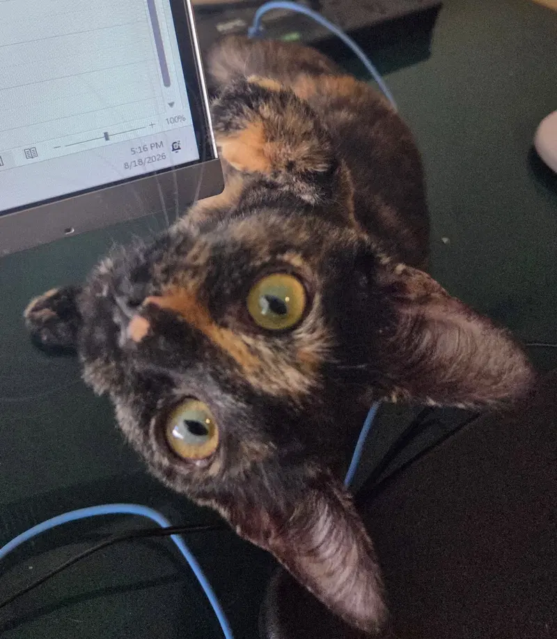 Torti-Feasor, photo 2