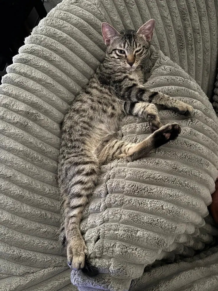 Minnie, photo 3
