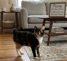 Fiona, photo 3