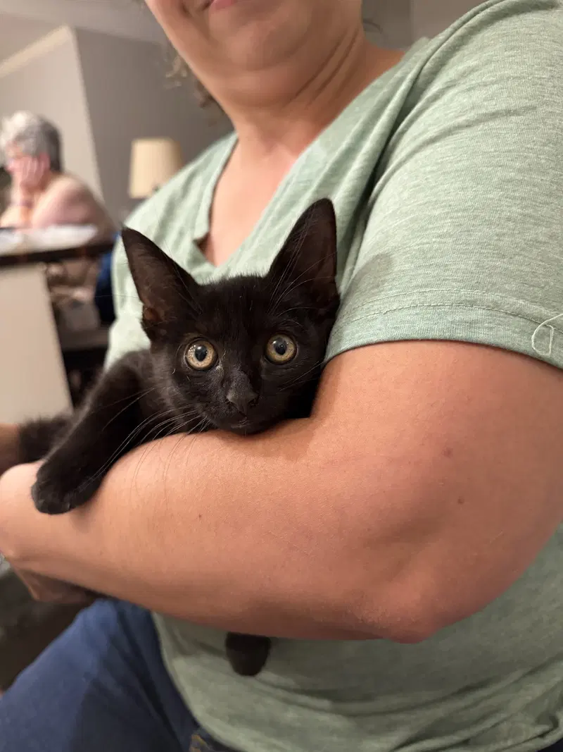 Bruce Wayne, photo 6