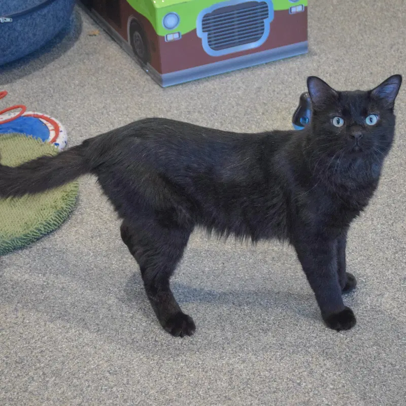 Malachi, photo 2